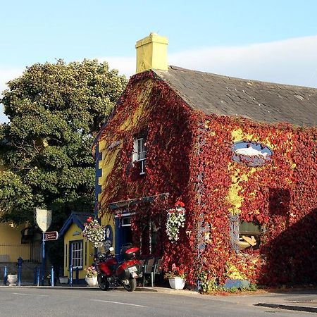 Kingfisher Lodge & Pub Castleconnell Luaran gambar