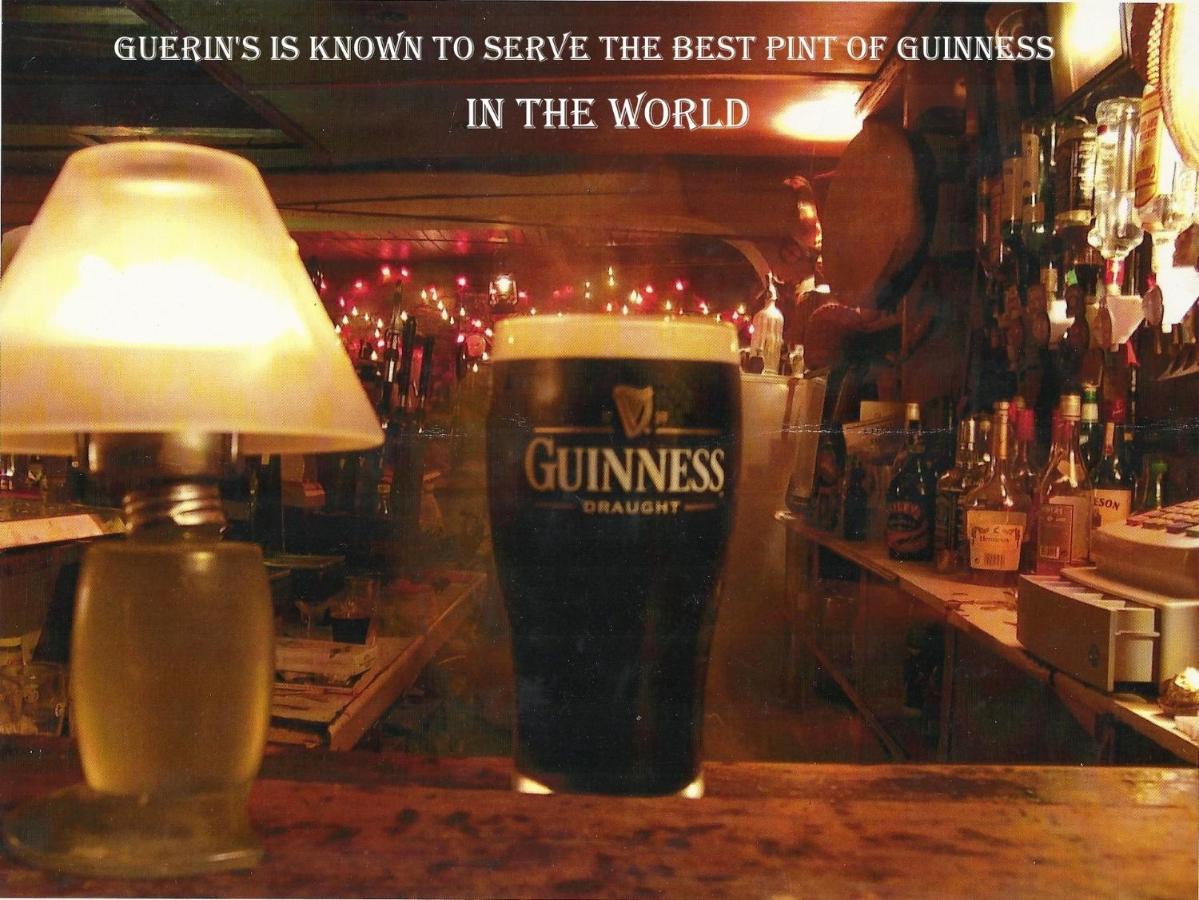 Kingfisher Lodge & Pub Castleconnell Luaran gambar